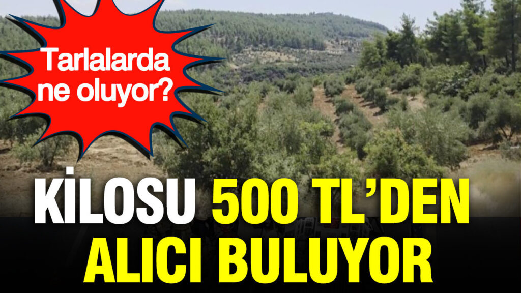 haber-gorseli-1787057871489